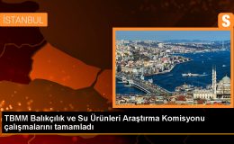 TBMM Balıkçılık ve Su Ürünleri Araştırma Komisyonu Çalışmalarını Tamamladı