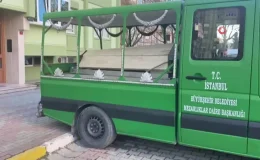 Beylikdüzü’nde 4 yaşındaki oğlunu öldüren anneye akıl sağlığı yerinde olmadığı gerekçesiyle ceza verilmedi