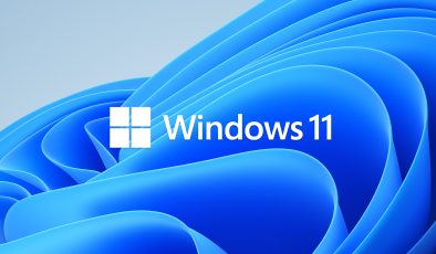 Windows 11 Pro Lisans