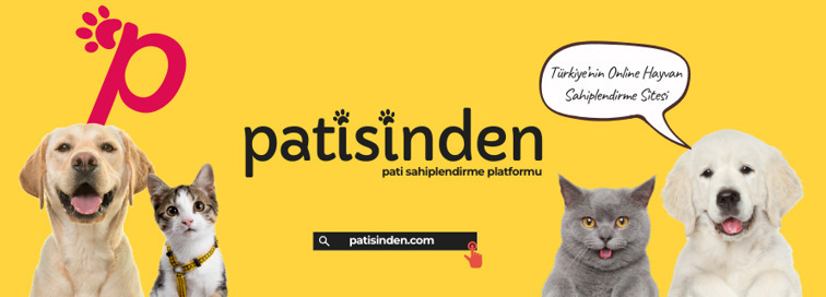 Köpek ilanları ile Sahiplenme Rehberi